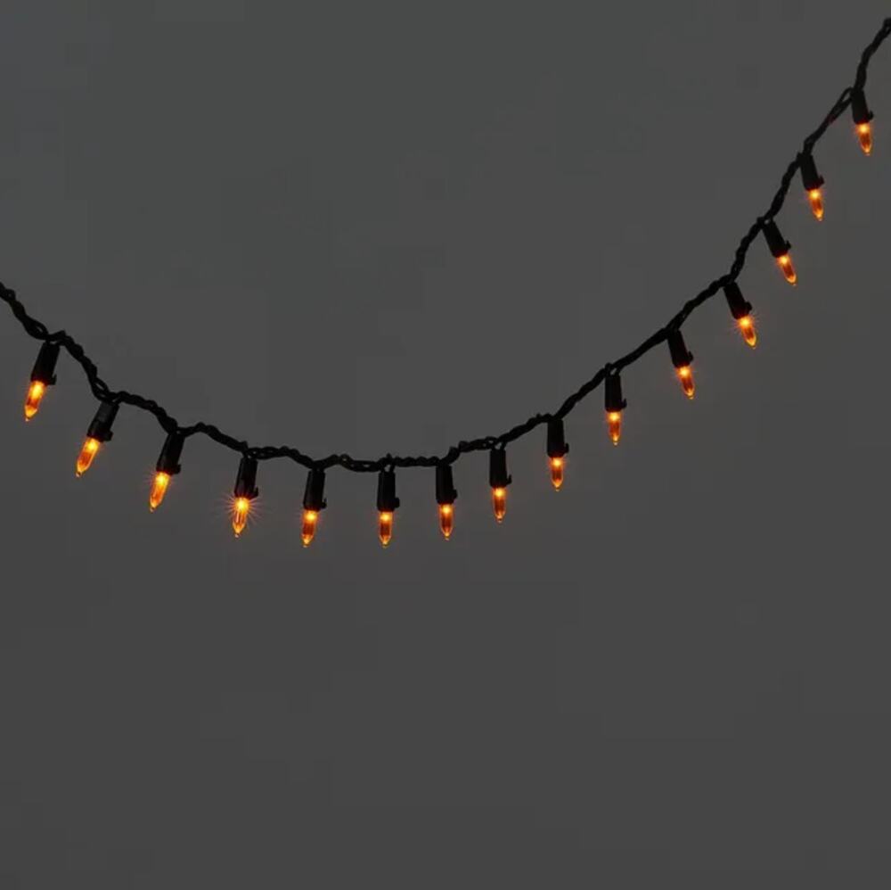 Hyde and Eek Mini LED Orange String Lights NEW